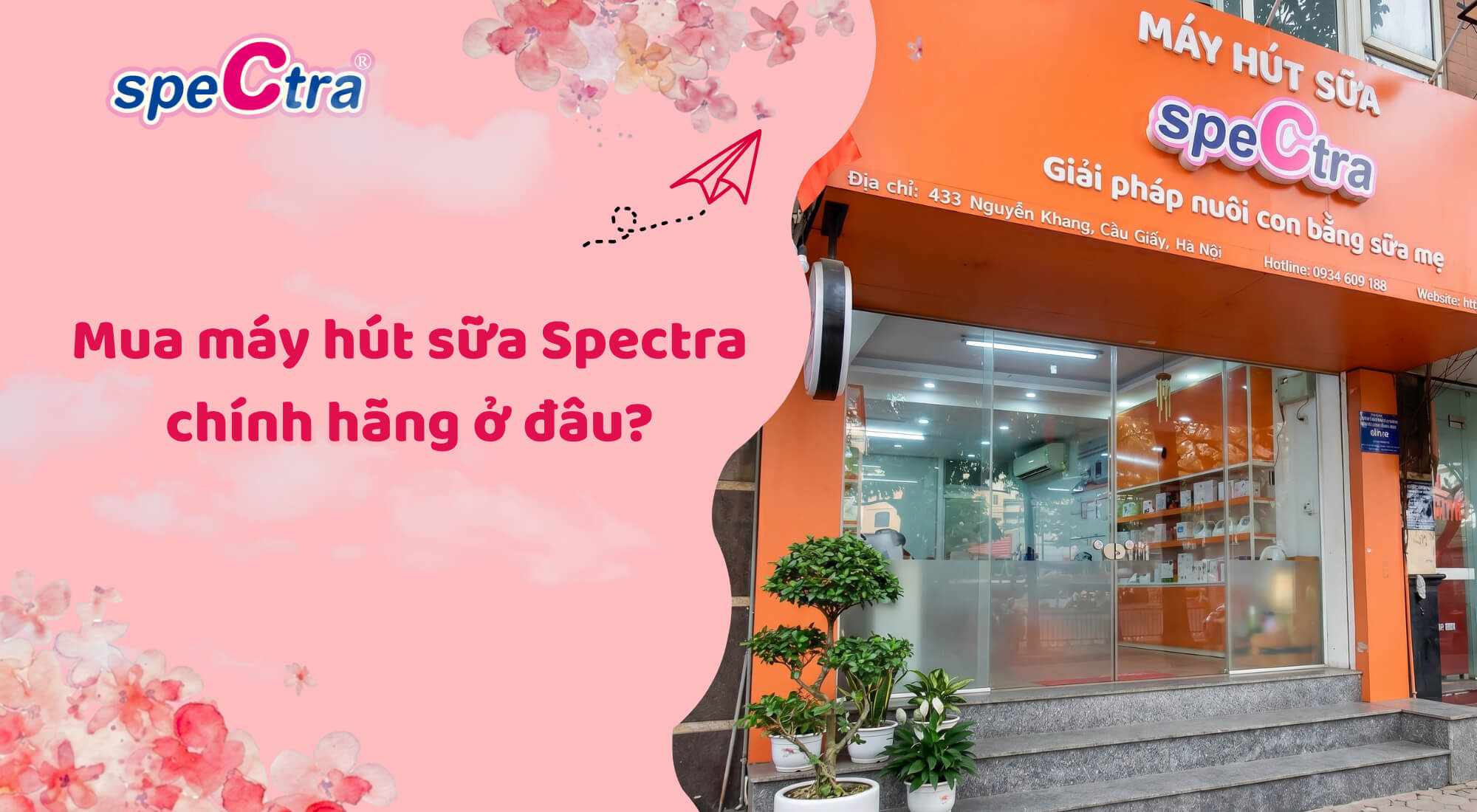  Mua máy hút sữa Spectra chính hãng ở đâu? Danh sách đại lý và khuyến mãi 2026